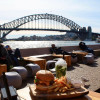 A student studying abroad with The Education Abroad Network (TEAN): Sydney - University of Sydney