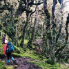 A student studying abroad with IFSA-Butler: Christchurch - University of Canterbury
