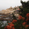 A student studying abroad with Korea University: Seoul - International Summer Campus