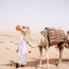 A student studying abroad with Messiah College: International Business Institute, Worldwide Summer Program