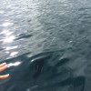 A student studying abroad with Kachemak Bay Campus of University of Alaska - Semester by the Bay