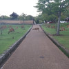 A student studying abroad with UC San Diego Global Seminars / UCSD: Tokyo - Modern Japan