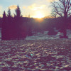 A student studying abroad with University of Birmingham: Birmingham - Direct Enrollment & Exchange