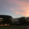 A student studying abroad with National University of Singapore: Singapore - Direct Enrollment & Exchange
