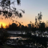 A student studying abroad with IFSA: Gold Coast & Brisbane - Griffith University