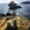 A student studying abroad with New York University: Dublin - NYU Summer in Dublin
