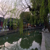 A student studying abroad with Utah State University: USU Go Global Asia, Hosted by the Asia Institute