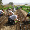 A student studying abroad with Kibbutz Lotan Center for Ecology: The Green Apprenticeship