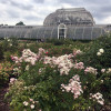 A student studying abroad with University of the Arts London - Summer Study Abroad