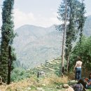 SUNY Purchase: Dharamsala - Summer Faculty-Led Program to India Photo