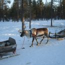 Exchange: Tampere - University of Tampere Photo