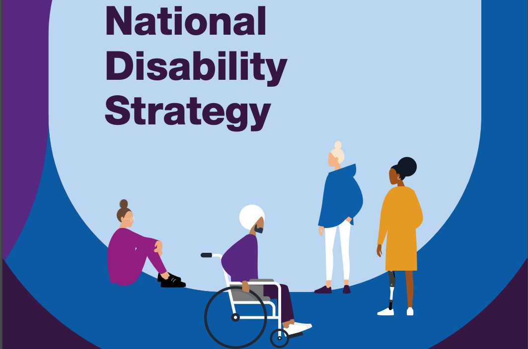AccessiblePRS Opinion on the Government National Disability Strategy Housing