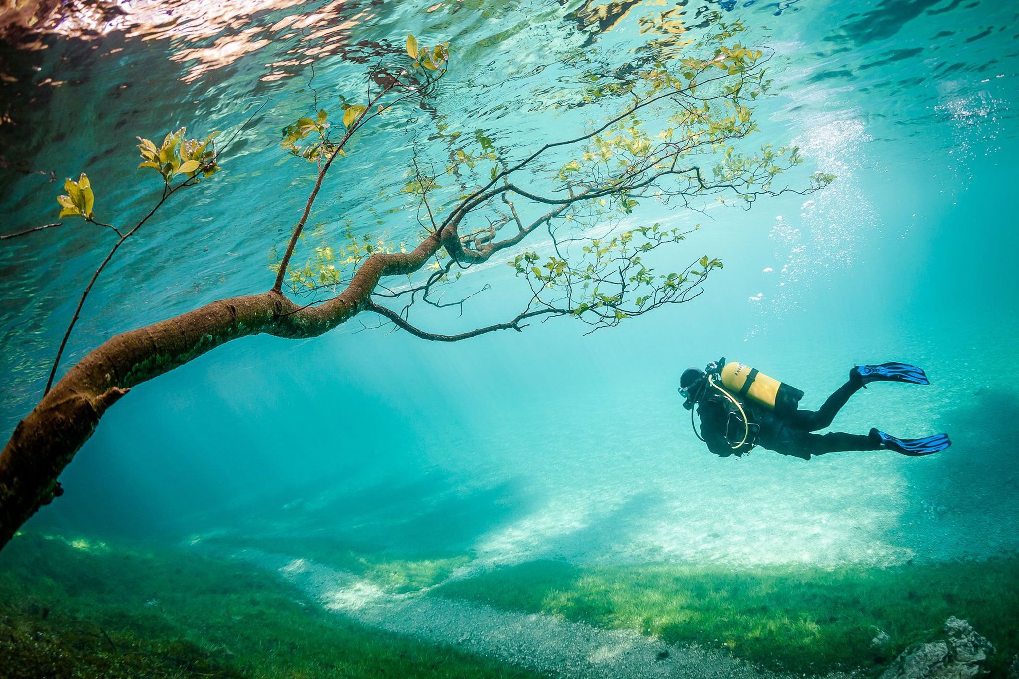 25 удивительных фотографий подводной жизни от National Geographic