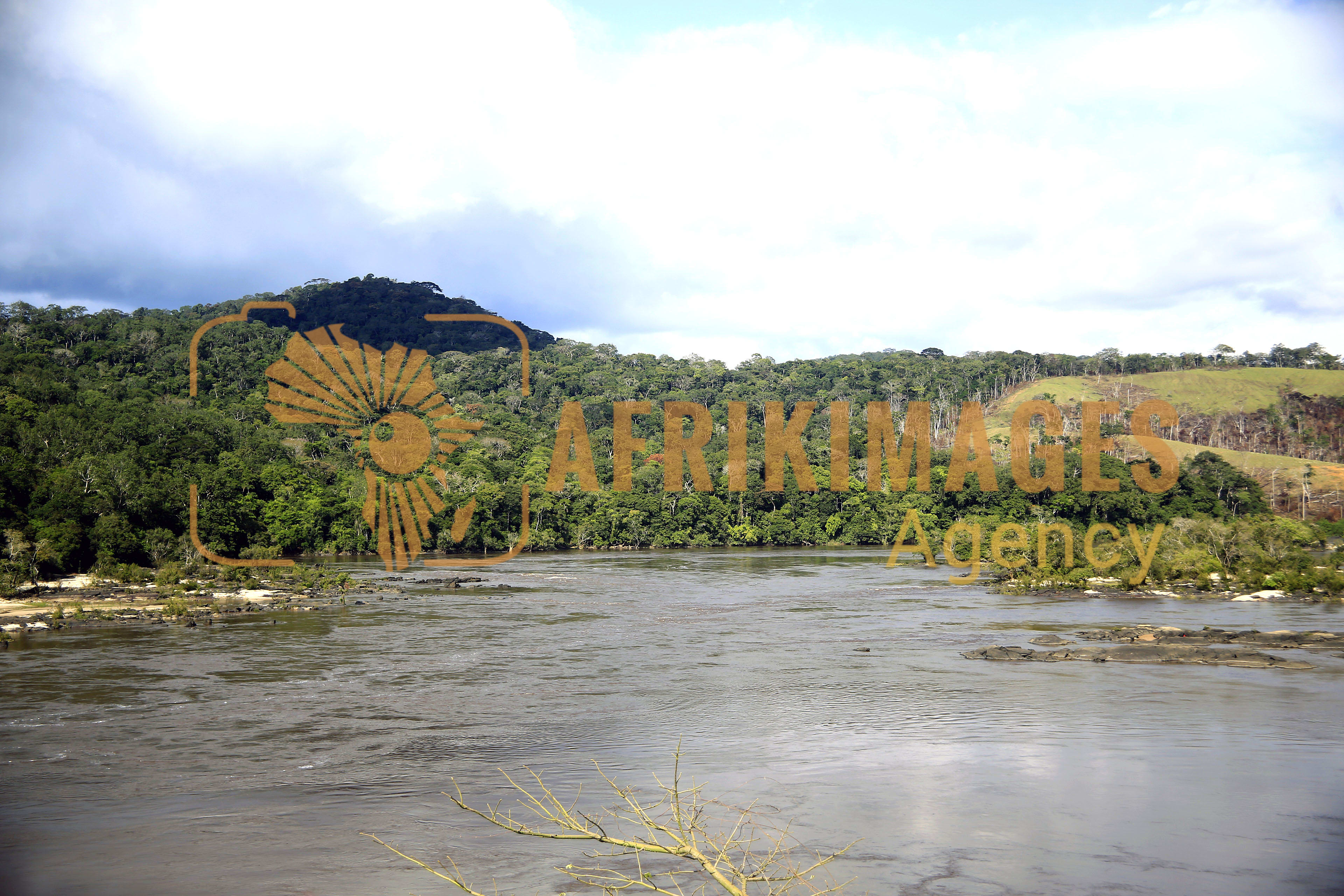 Afrikimages parc national de la lopé