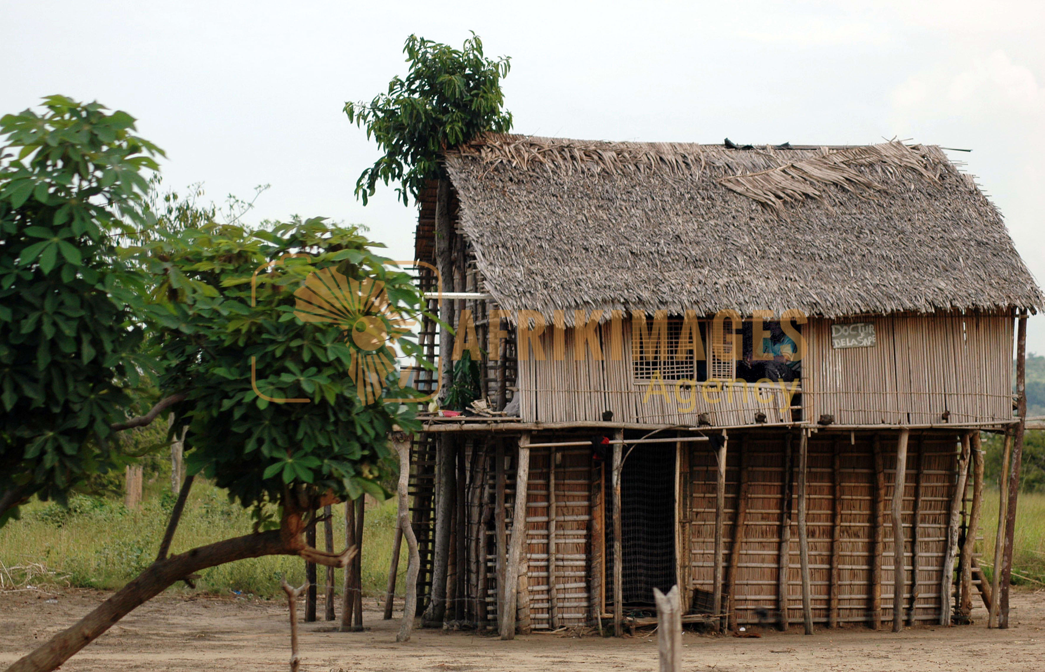 Afrikimages république congo / nature