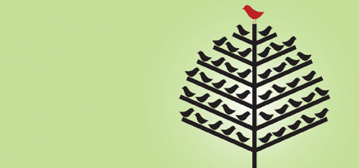 What's Growing on Your Family Tree?