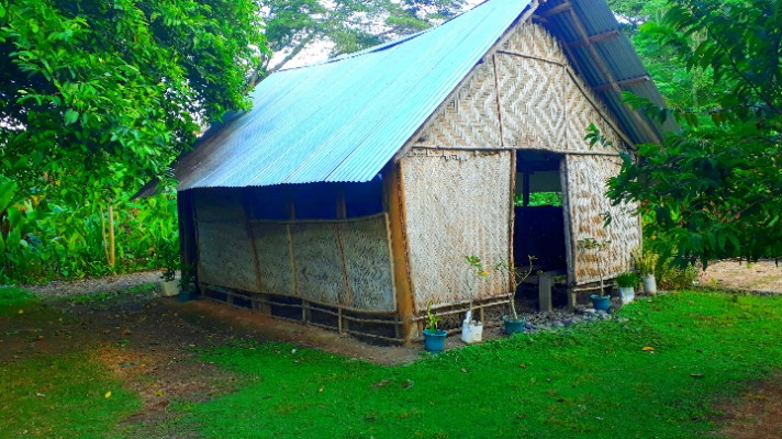 Nadzab Farm Branch