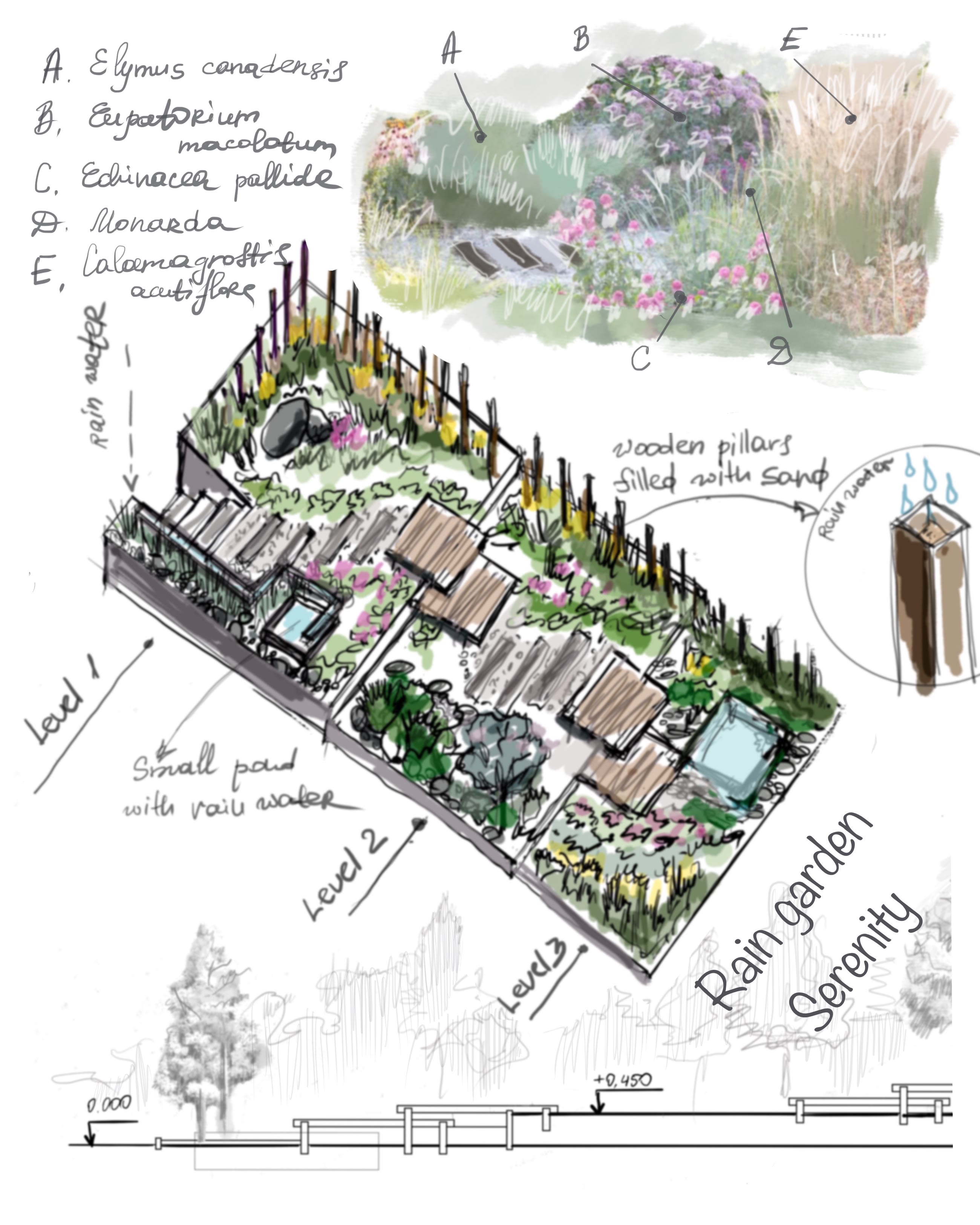 Reflecting on the International Garden Festival Experience: The Serenity Rain Garden Project 2023