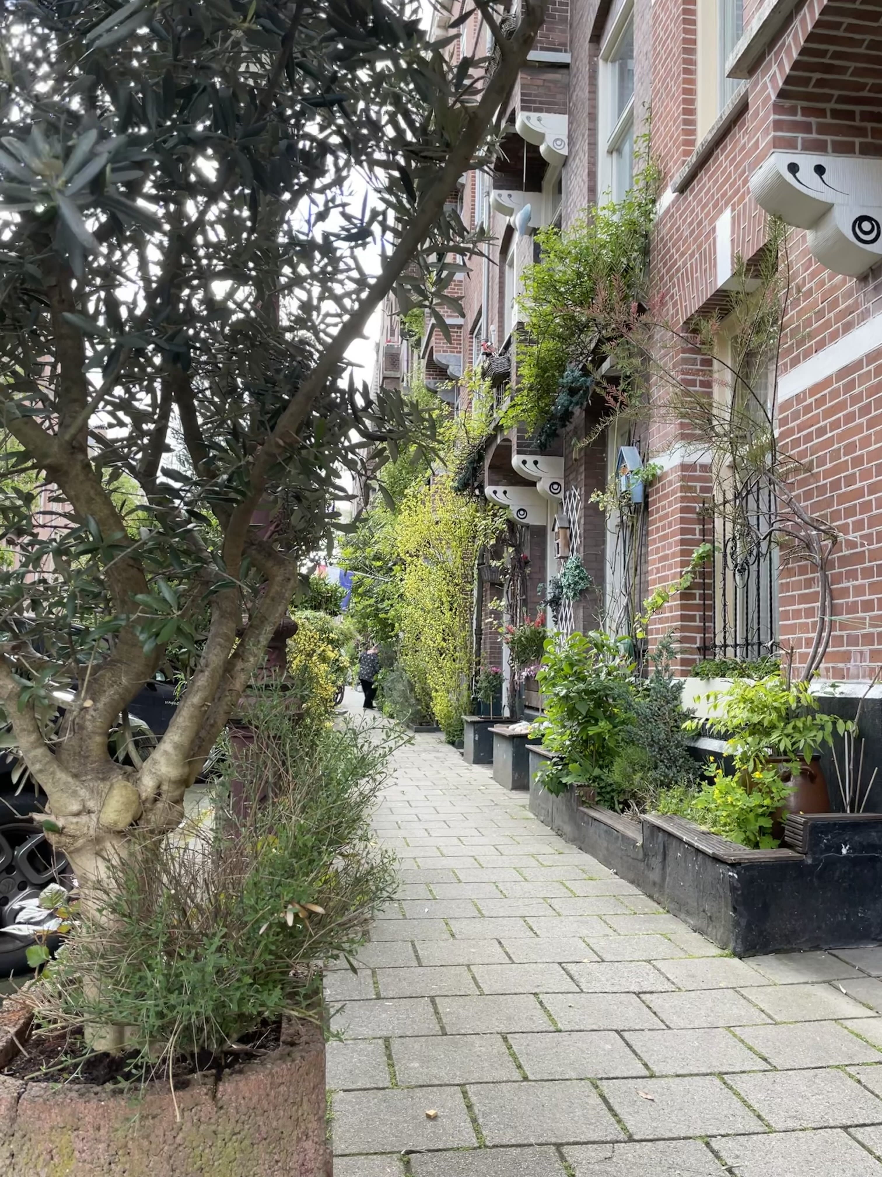 Greening Your Home in Amsterdam: Subsidies and Free Support You May Not Know About