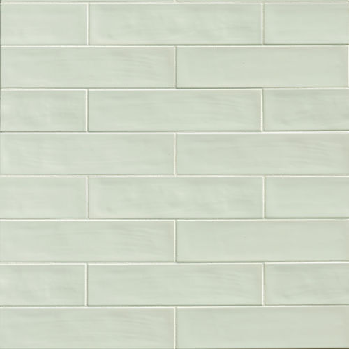 Tongue In Chic 2 1/2" x 10 1/2" Gloss Wall Tile in You're Not The Moss Of Me