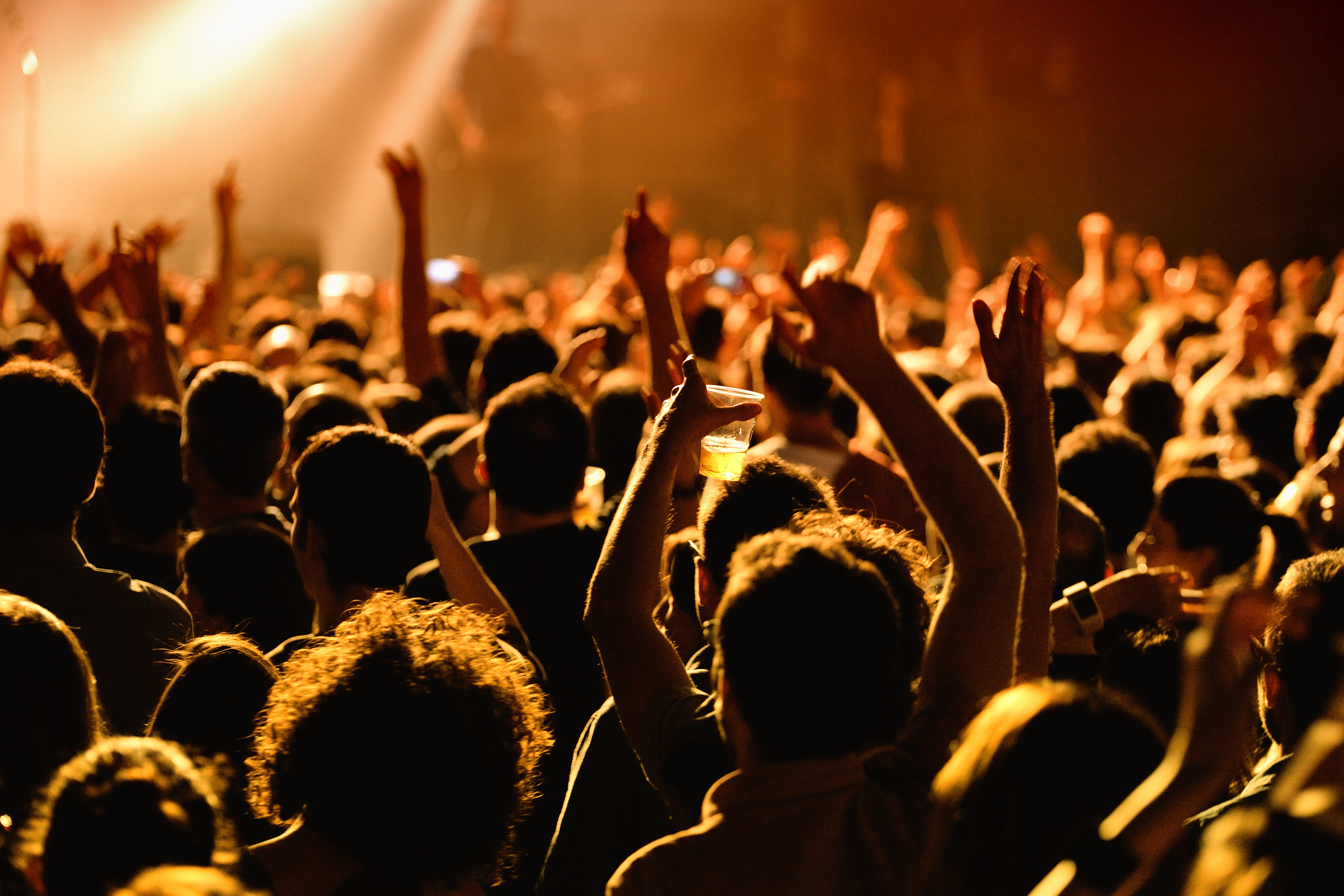 Live Crowd