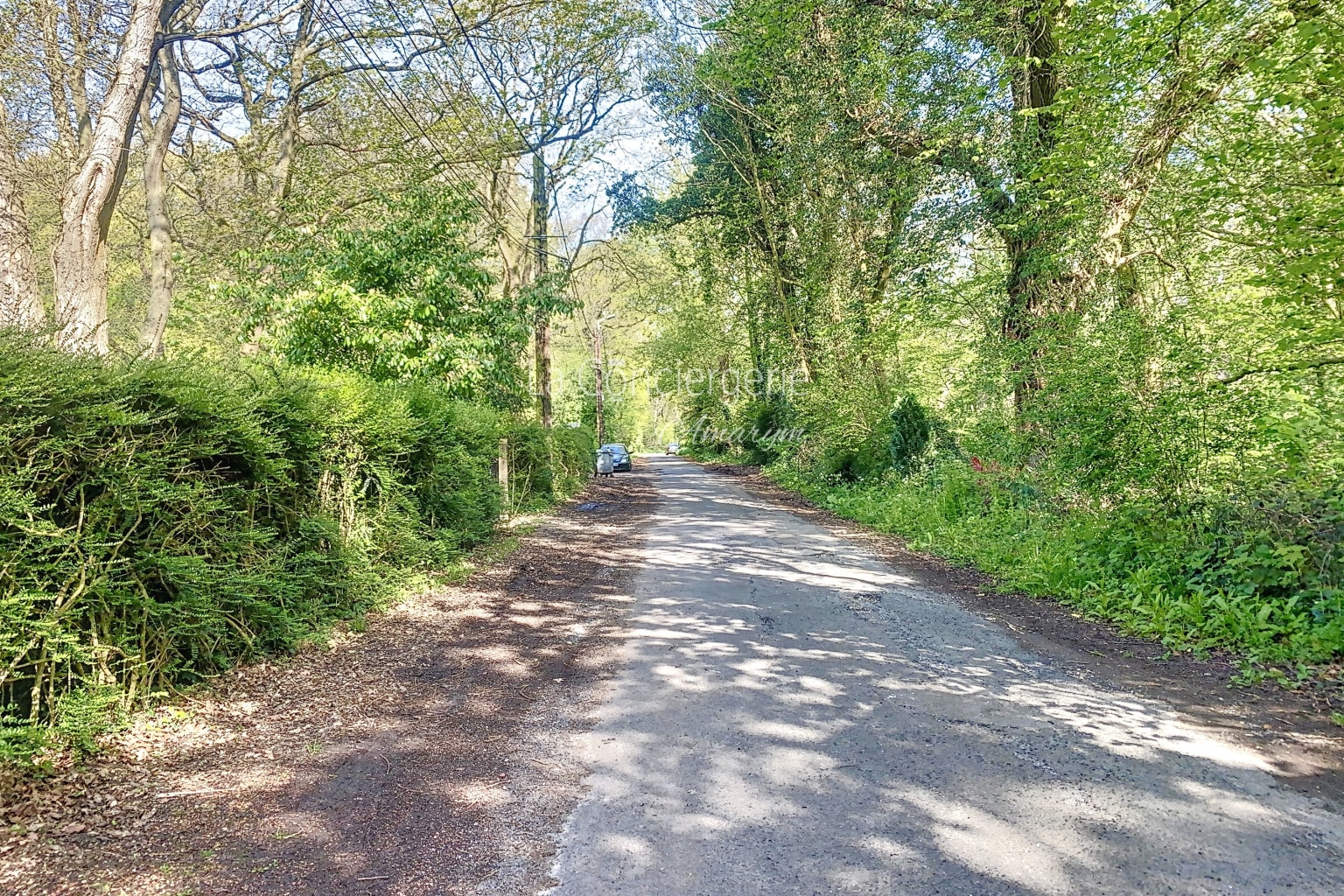 BG 32 - Mer & Bois de Cise, vue 33