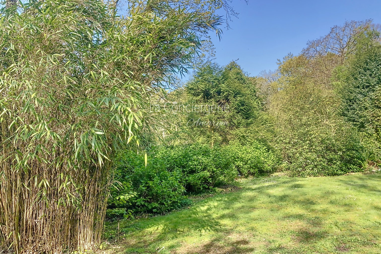BG 32 - Mer & Bois de Cise, vue 38
