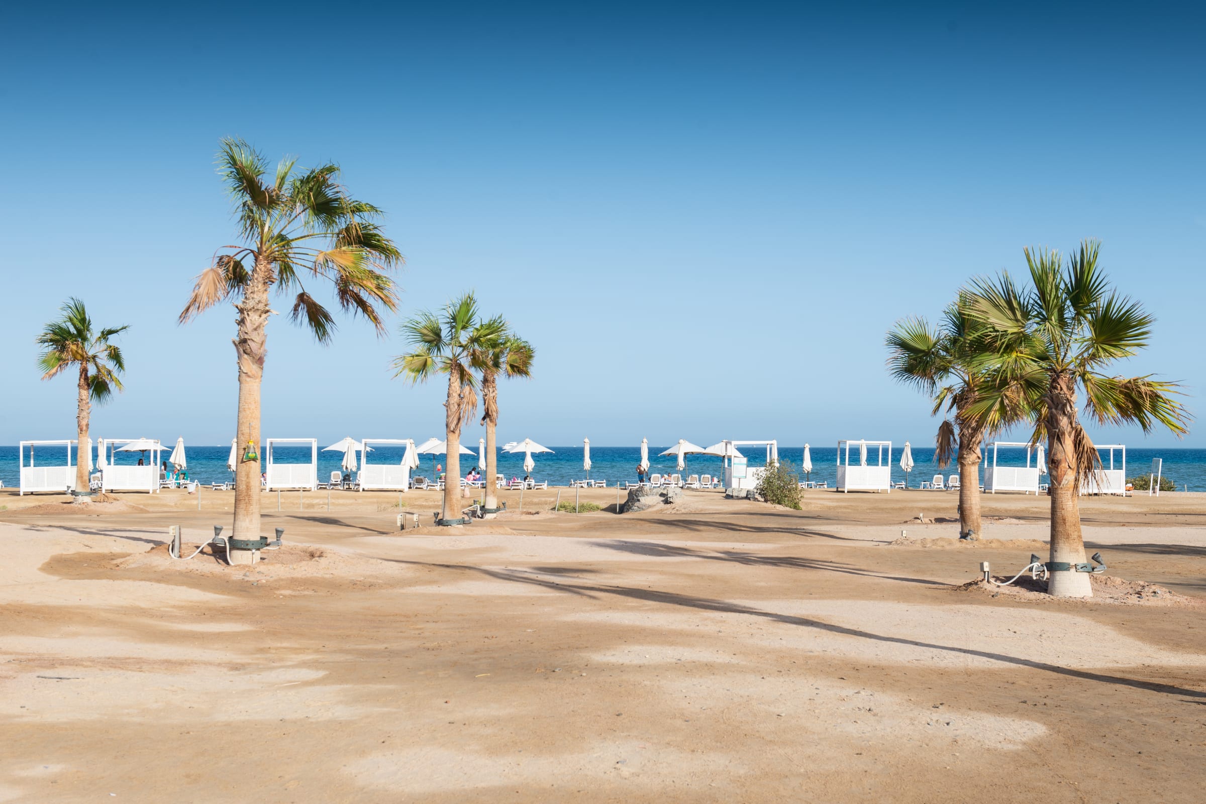 Perky 1 BDR @ Mangroovy | Free Pool & Beach Access — Apartment in Mangroovy Residence, El Gouna, Egypt — photo 5