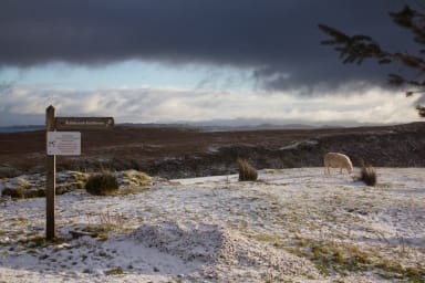 Natural landscape