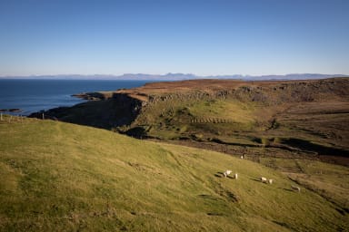 Sheep out on the hills