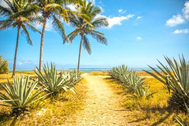 APP. LE GALAWA Vue sur la plage Billikers