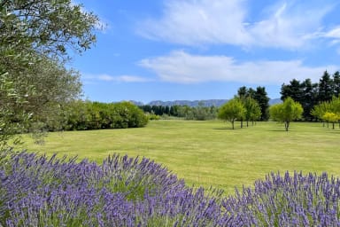 We cross the lavender alleys to get home