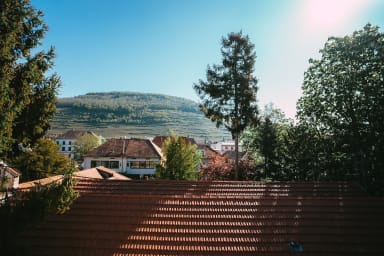 Splendide vue sur le vignoble et les toits d'Alsace ...