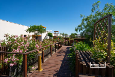 Passerelle en bois pour circuler dans la résidence Marina Lodge