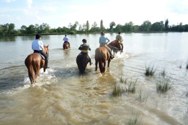 Balade à cheval