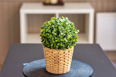 Décoration d'ambiance