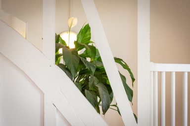 Décoration d'ambiance