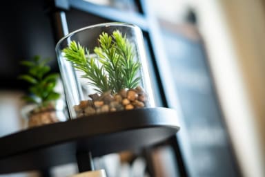 Décoration d'ambiance