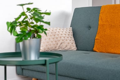 Décoration d'ambiance