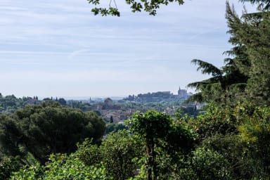 Vue du centre historique de Villeneuve et du Palais des Papes.