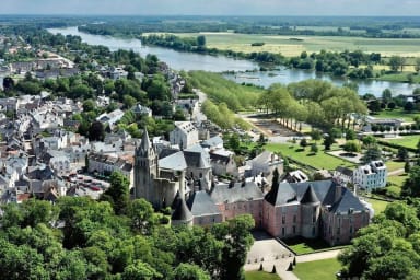 Vue aérienne de Meung sur Loire, avec la Loire.
