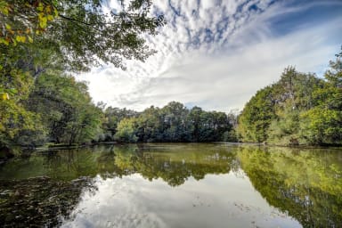 Etang (à 300m de la maison)