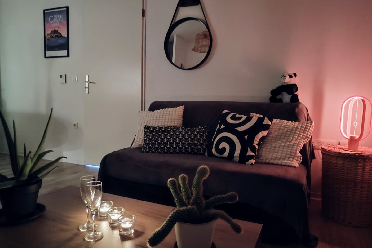 Appartement   Le Salluste : T2 cosy avec balcon à Strasbourg.