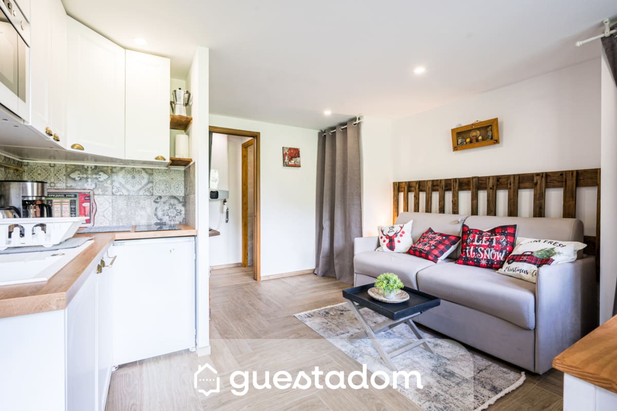 Le Flocon - Petfriendly - Proche pistes