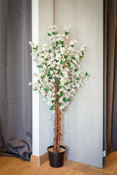 Décoration d'ambiance