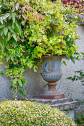 Jardin partagé