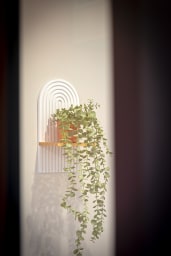 Décoration d'ambiance