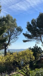 amazing view