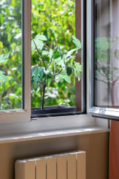 Décoration d'ambiance