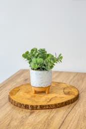 Décoration d'ambiance